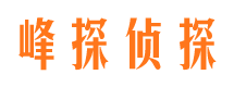 大观调查取证